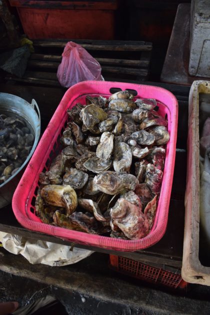 large oysters for sale at the market