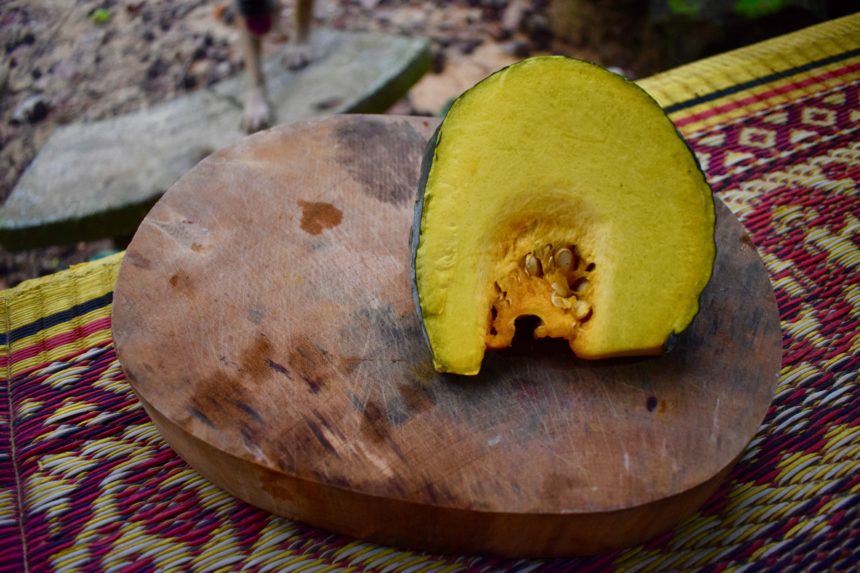 Large piece of pumpkin (fak tong) bought from local market in Kuraburi