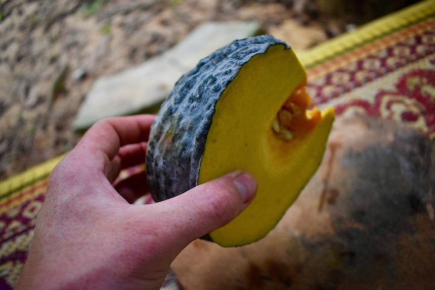 Large piece of pumpkin (fak tong) held in the hand to show size