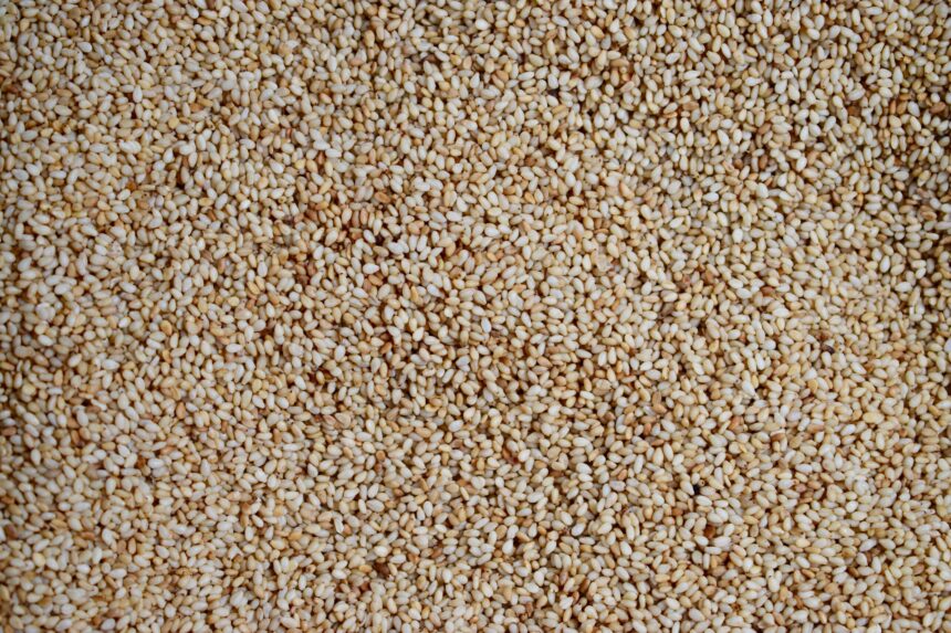 White unhulled sesame seeds that need to be roasted before use in the Chinese sesame paste recipe